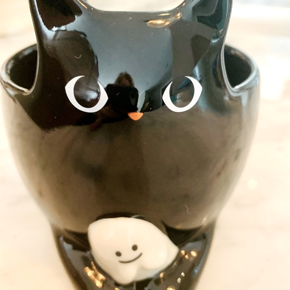 Bewitching Starbucks spooked black cat 🐈‍⬛ that caught a ghost